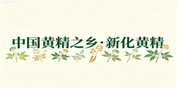 专题 | 中国黄精之乡·新化黄精