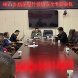 维山乡召开烟花爆竹安全生产专题会议