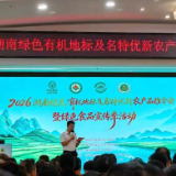 正龙名居黄精惊艳亮相2026湖南绿色有机地标农产品推介会