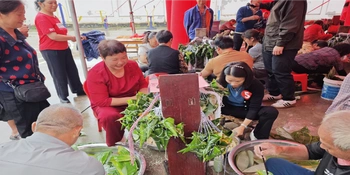 欢度端午 | 维山乡维山村 粽叶飘香迎端午 童心敬老暖家园