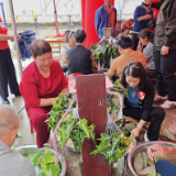 欢度端午 | 维山乡维山村 粽叶飘香迎端午 童心敬老暖家园