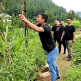 新化县林业局开展野生动物放归活动