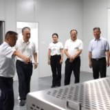 多花黄精·源起新化 | 杨韶红率队调研黄精产业发展情况