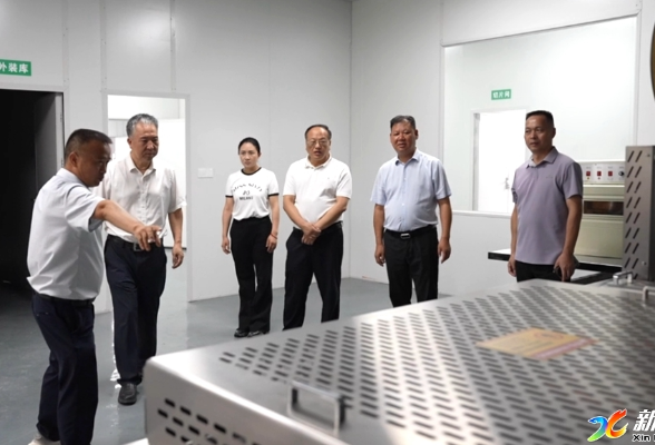 多花黄精·源起新化 | 杨韶红率队调研黄精产业发展情况