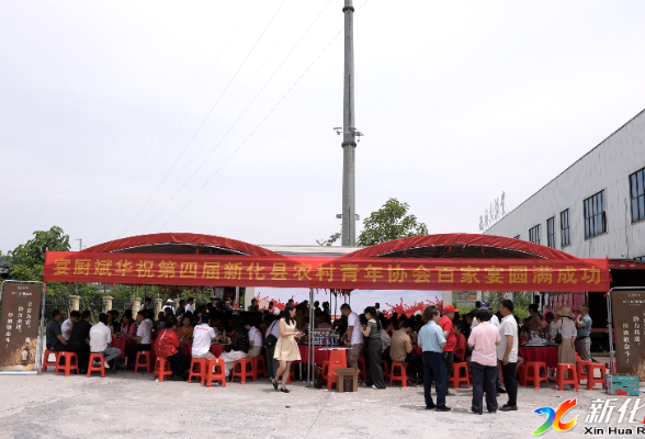 乡土好物聚百家 新化青年以食助农闯网销
