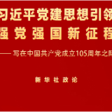 习近平党建思想引领强党强国新征程