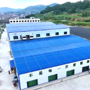 新化：龙头企业盘活万亩林地 蹚出“药食同源”富民新路径