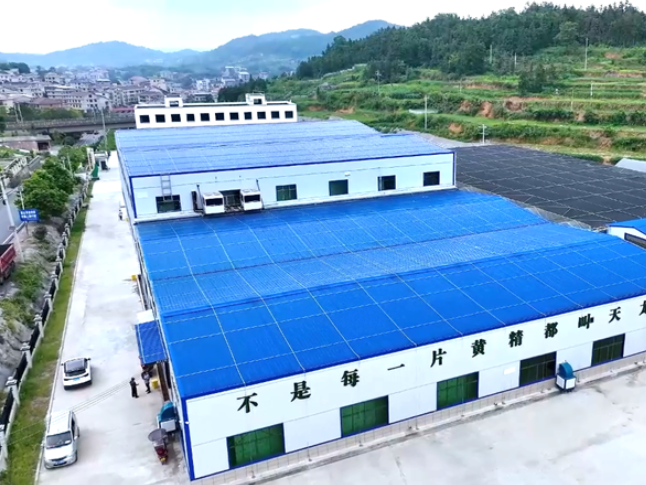 新化：龙头企业盘活万亩林地 蹚出“药食同源”富民新路径