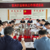 彭韬到吉庆镇调研督导“驻点连片”帮扶工作