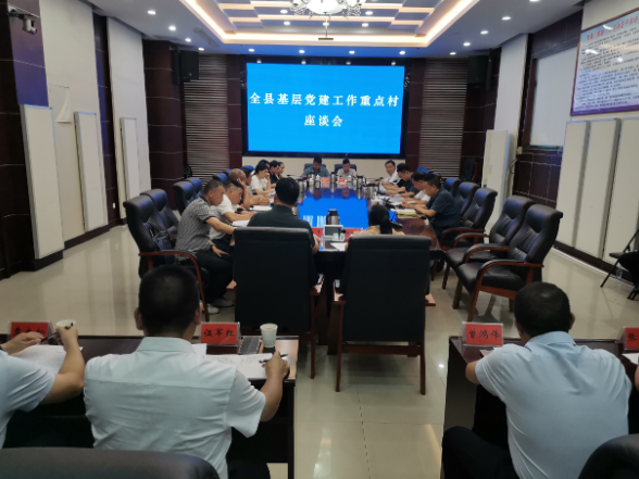 新化县召开全县基层党建工作重点村座谈会