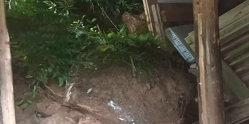 成功避险启示录 | 新化县成功避险7起地质灾害险情（四）