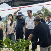新化县举行林下经济技术推广示范项目培训