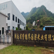 百企风采 | 国梁米业 立足梯田生态优势 做强紫鹊界优质贡米产业