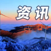 乡村振兴 | 强森木业集团到维山乡碧水村开展木材加工项目建厂前期考察