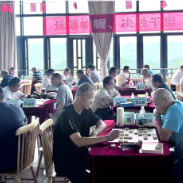 娄底市“康养小镇杯”县级象棋团体赛暨第二届象棋棋王赛落幕 新化县代表队团体折桂