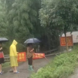应安一线 | 积极应对台风“美莎克” 金凤乡全力以赴保平安
