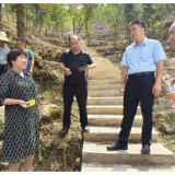 省农业农村厅来新调研重要农业文化遗产及黄精栽培技术