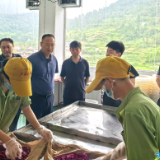 新化县人大常委会领导到圳上镇调研