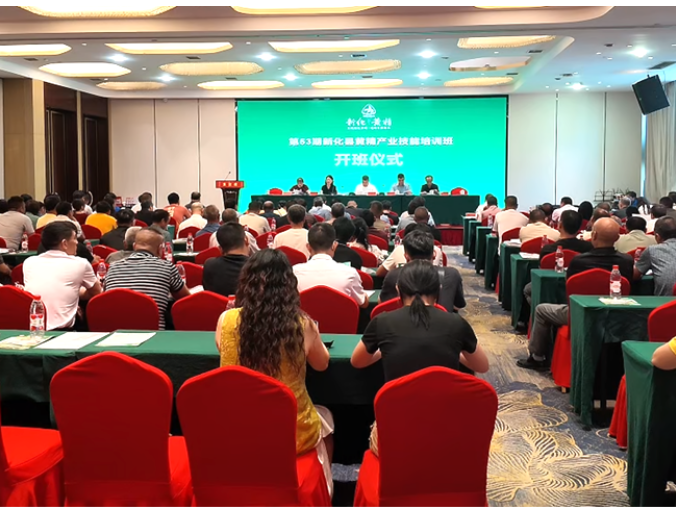多花黄精·源起新化｜新化县举行黄精产业技能培训