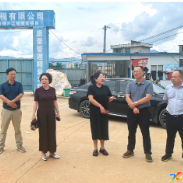 新化县人大常委会领导到洋溪镇调研