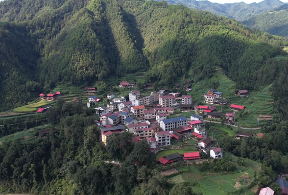 金凤乡：山村小学新变化