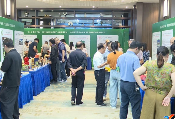中国林学会第六届林下生态黄精产业发展研讨会暨新化县第七届九九黄精节  与会代表参观新化黄精展馆 共探全国黄精产业创新发展之路