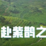 科技和青年唱主角 2026“紫鹊界梯田对话世界”即将启幕