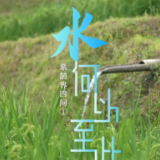 紫鹊界四问① | 水何以至此:水利专家王英华解码“一座山的自流逻辑”