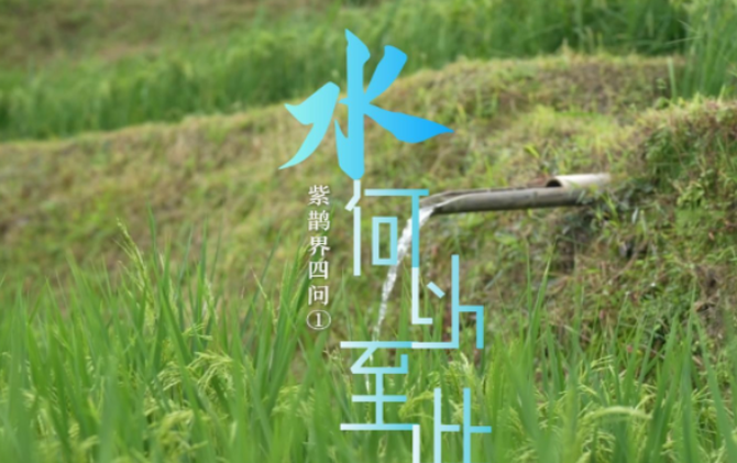 紫鹊界四问① | 水何以至此：水利专家王英华解码“一座山的自流逻辑”