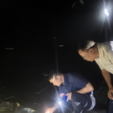 快速响应 精准核查！新化县领导督导省环保督察“回头看”交办重点信访件整改工作
