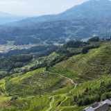 美丽中国丨秋韵紫鹊界 梯田入画来
