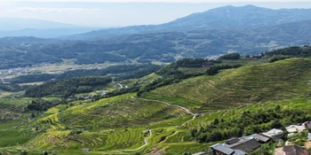 美丽中国丨秋韵紫鹊界 梯田入画来