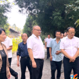 杨韶红赴荣华乡调研黄精产业