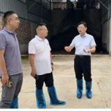 新化县领导到曹家镇督导生态环境保护工作