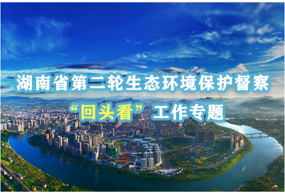 群众信访举报转办及地方查处情况一览表（第9批）