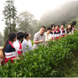 “匠心如炬・游必有方——金牌导游进课堂·逐梦文旅共远航”主题实践活动走进紫鹊界 渠江源