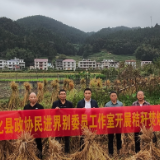 新化县政协民进界别委员工作室开展秸秆禁烧专项民主监督