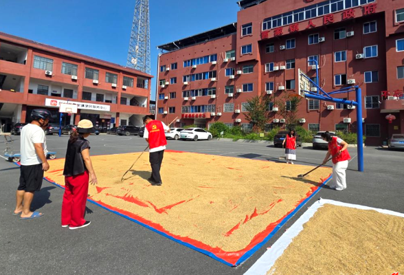 空地助晒粮 | 曹家镇多措并举保秋收