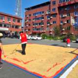 空地助晒粮 | 曹家镇多措并举保秋收