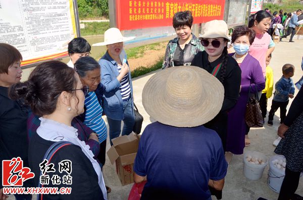 DSC_0214_副本_副本.jpg