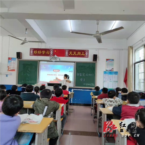 b2.jpg