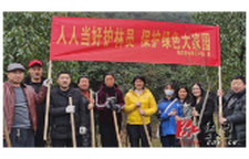 珠泉商会：企业志愿者，为公园护绿