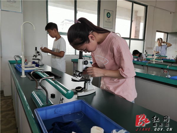 学生认真规范操作.jpg