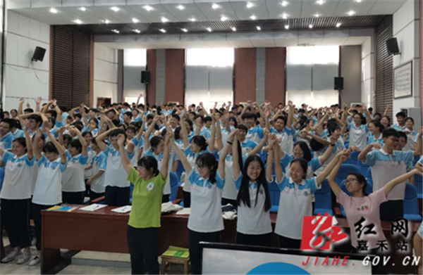 图片 4.png