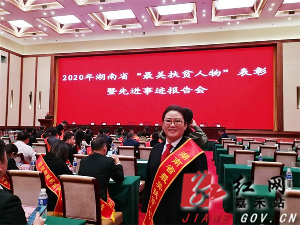 湖南省“最美扶贫人物”表彰及先进事迹报告会现场.jpg
