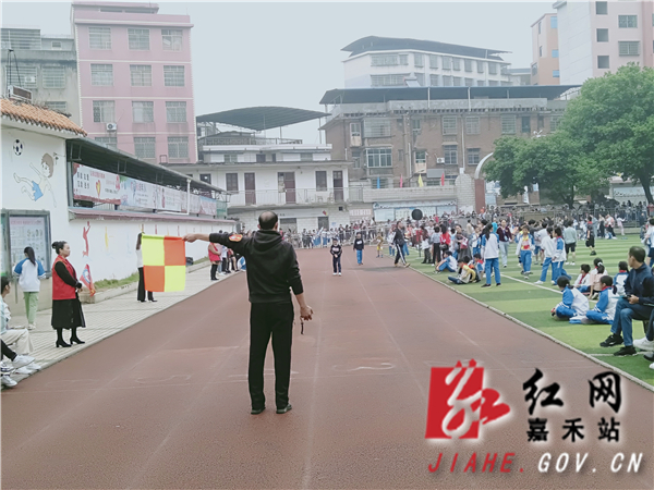 图片5.jpg 图片5.jpg