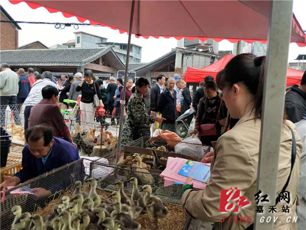 珠泉镇.jpg