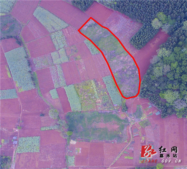 图片1.jpg