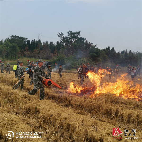 图为扑火队员用风力灭火机灭火.jpg 图为扑火队员用风力灭火机灭火.jpg