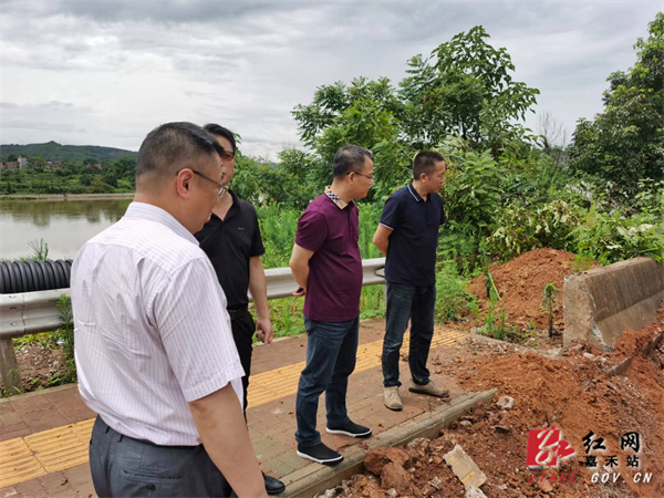 嘉禾县纪检干部在珠泉镇调研生态环保问题.jpg